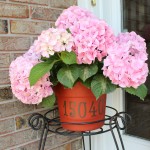 Spring Decor