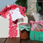 Strawberry and Chocolate Gift by Every Day is an Occasion