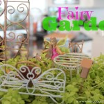 DIY Fairy Garden for Kids